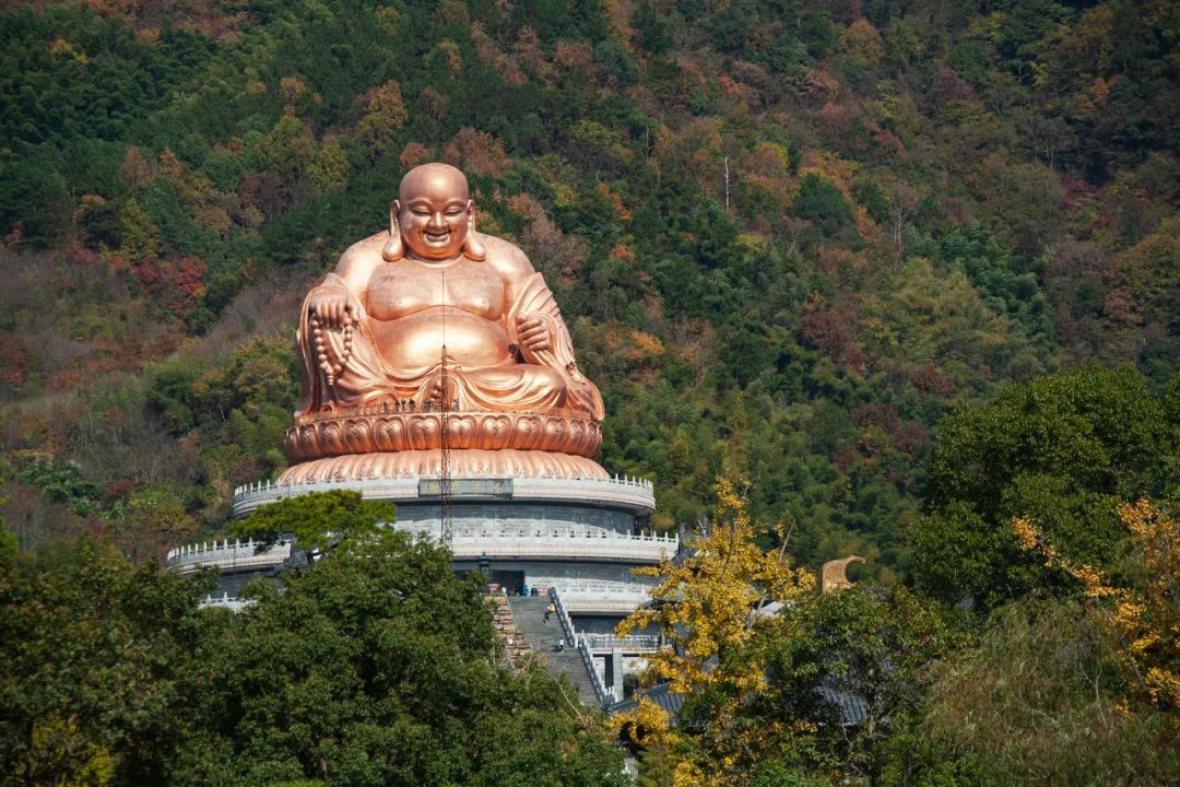 宁波|12次获评“中国最具幸福感城市”的宁波人，到底有多厉害？