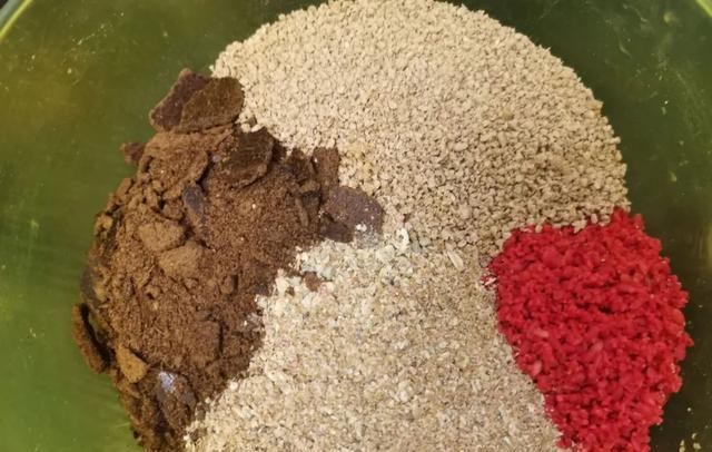 方舟|钓鲤鱼并非只能用玉米,这4种窝料都是鲤鱼最爱,老钓友都知道