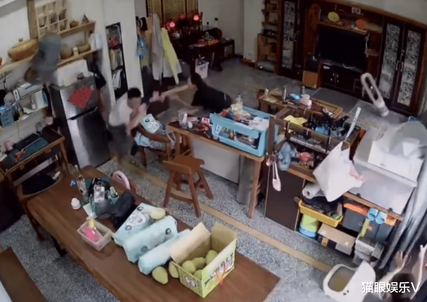 黄圣依|谢依霖自曝家中地震后画面，各种摆件散落在地，柜子翻到一片狼藉