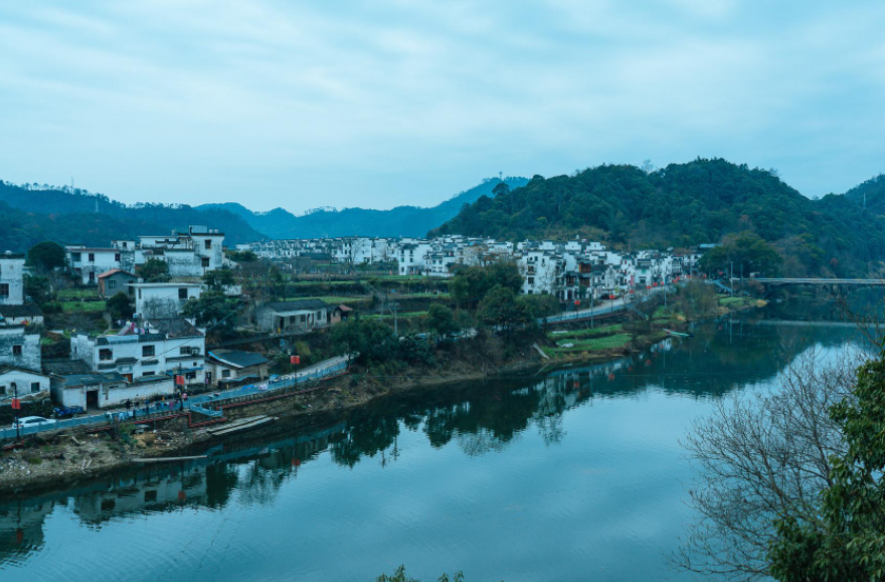 山东张店兔子自杀谜团,大量野兔扎堆出现,见到人还咬人