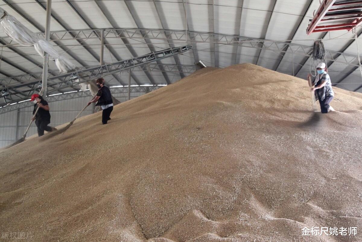中储粮|7月份中储粮大量招人,六险二金大专可报,不需要背景也能去