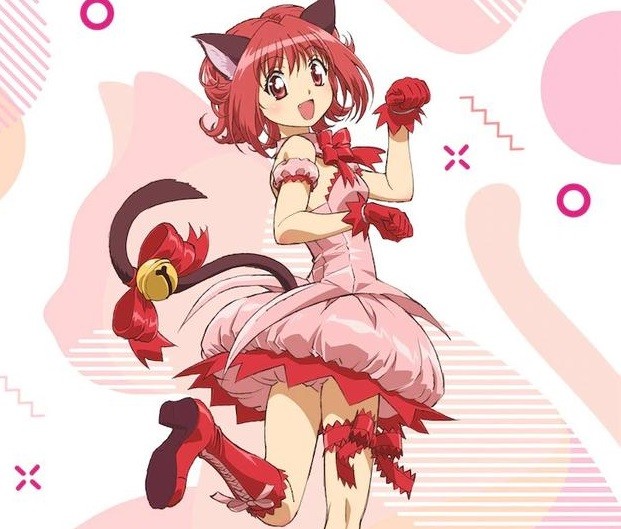 东京猫猫|东京猫猫已经打算出新版，可惜作者看不到了