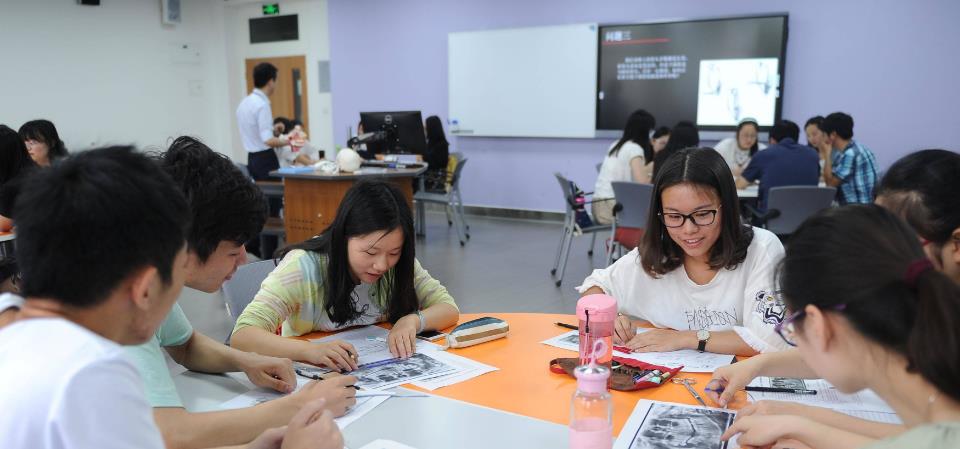 教师|小学都招研究生了，师范生不读研还有出路吗？