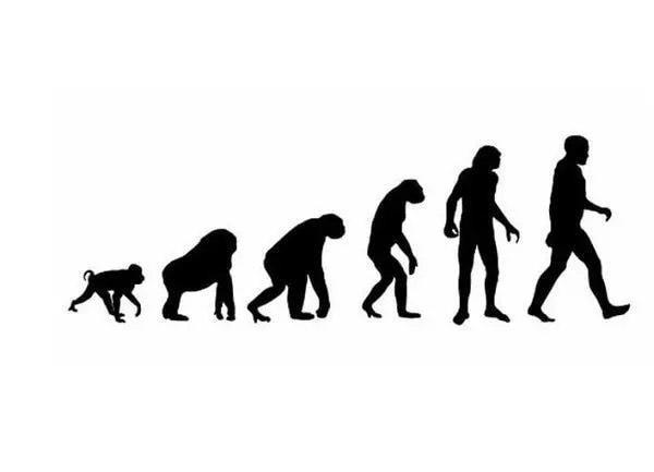 未来人类是进化还是退化？科学家：化石已经给了我们答案！