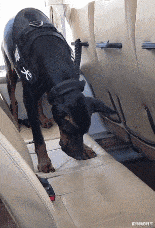 陈羽凡|白百何陈羽凡离婚仅7年，两人生活一个天上，一个地下