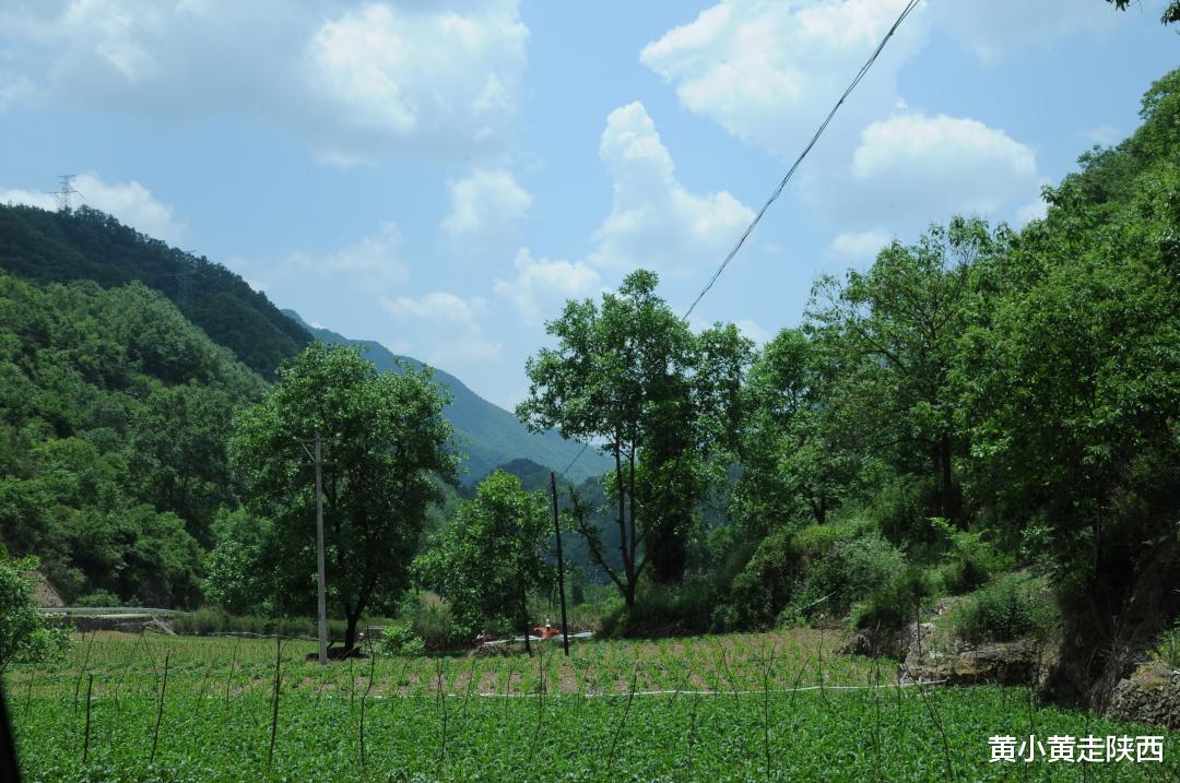|这次真的勇!自驾走了一条地图上没有的路,顺利翻越秦岭至柞水