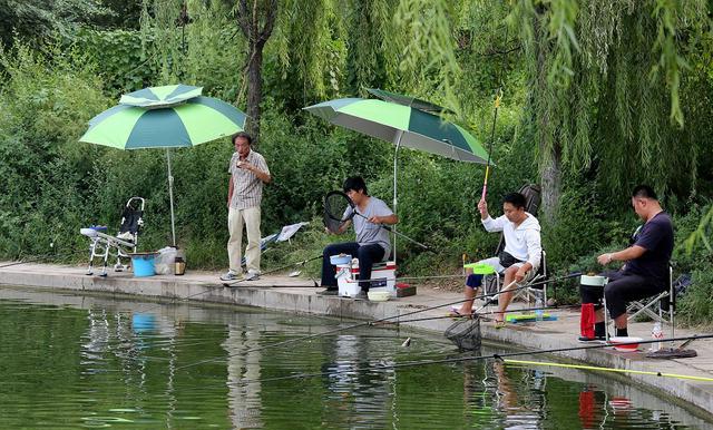 鳑鲏|农村4种恶贯满盈的“小杂鱼”，却有人高价购买，只因价值都不小