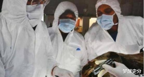 疯狂科学家为获永生,和女模特一起注射350万年前细菌,结果如何