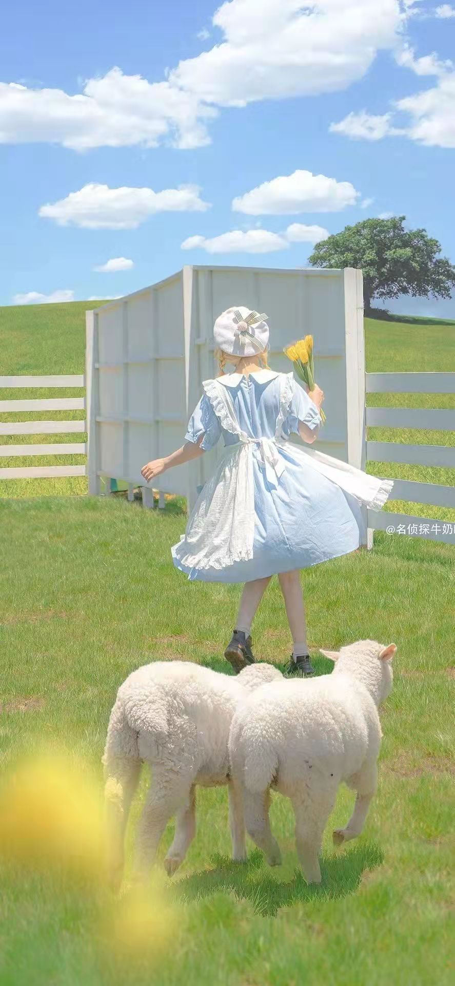 各种风格的全面屏壁纸分享，任何人不用我都会伤心的。