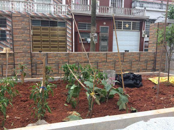 老公不顾反对回农村自建别墅,花了80万,大家看效果值吗?