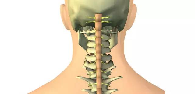 心脏|CT、核磁、B超的区别，讲的太到位了 ！