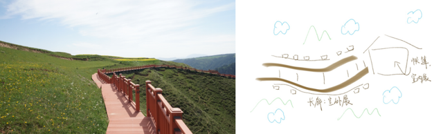 草原|海拔3000米的高原草甸上，藏着宫崎骏的夏天