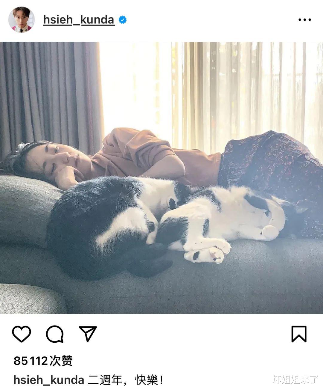 柯佳嬿|救命!被内娱嘲丑的「姐系天花板」,许光汉求着和她谈恋爱