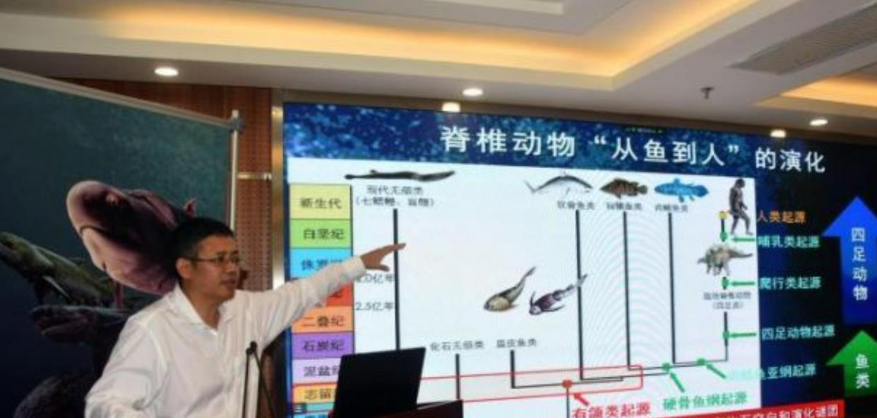 事实证明:人类仍在进化!我国科学家发现“从鱼到人”进化的证据