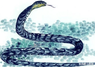 生肖|工作稳定生活幸福，属蛇人转角遇贵人提携，在职场春风如意