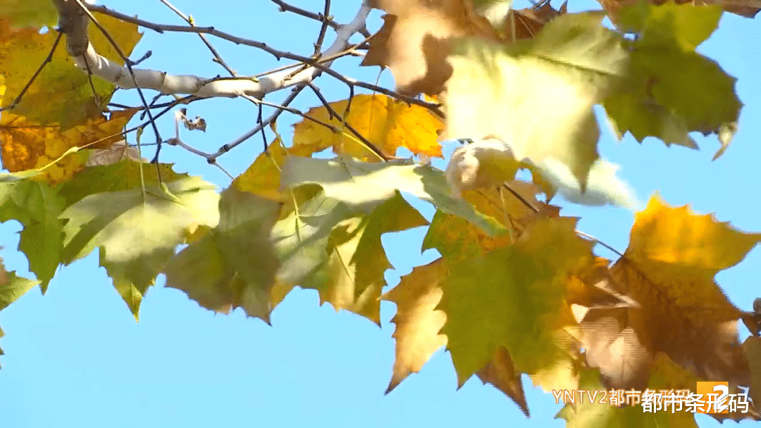 日出|冷空气来袭，云南的这些地方要降温！