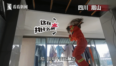 |注意!前方“蛇出没”