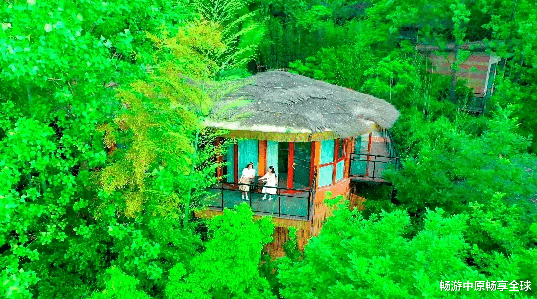 |520告白季|一起相约龙津溪地,共赏浪漫盛宴