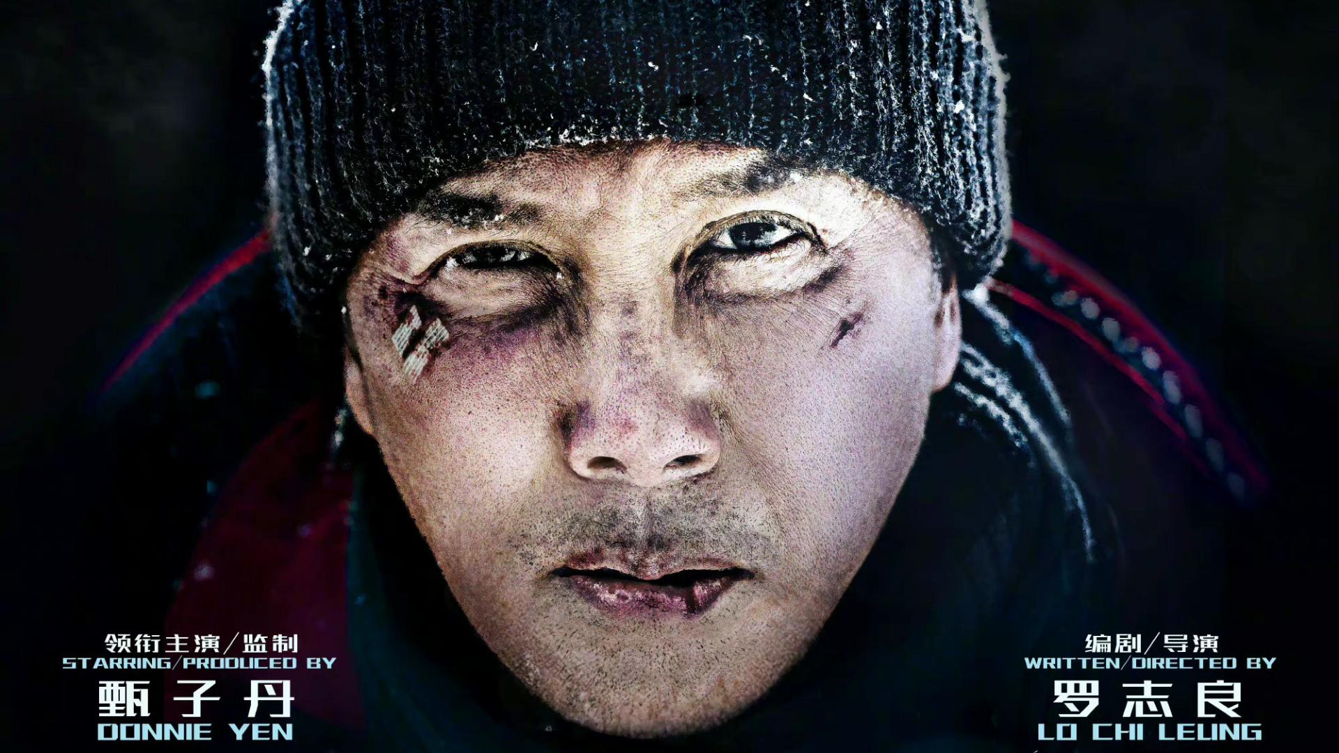 甄子丹|甄子丹主演新片《搜救》定档国庆