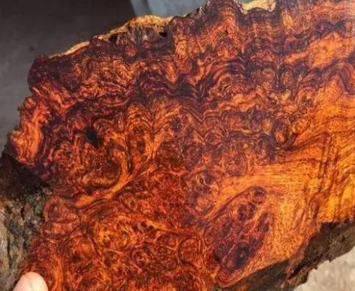 文玩|这几种文玩手串都“有病”,但却人见人爱,而且价格还不低!