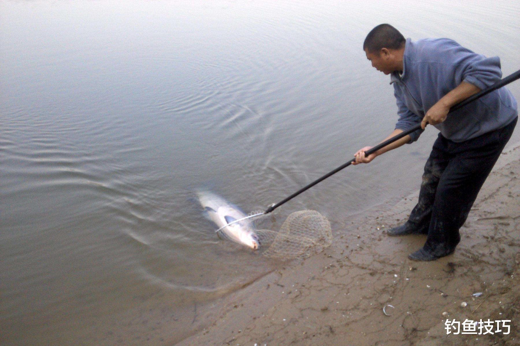 |秋天真的是钓鱼的黄金季节?那要看钓哪种鱼,秋天钓鱼的规律