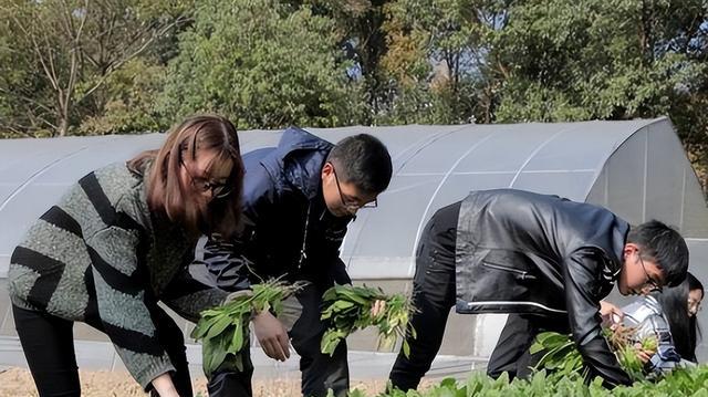 求职|农大的“挂科理由”多奇葩?种的西瓜被偷吃,老师也爱莫能助