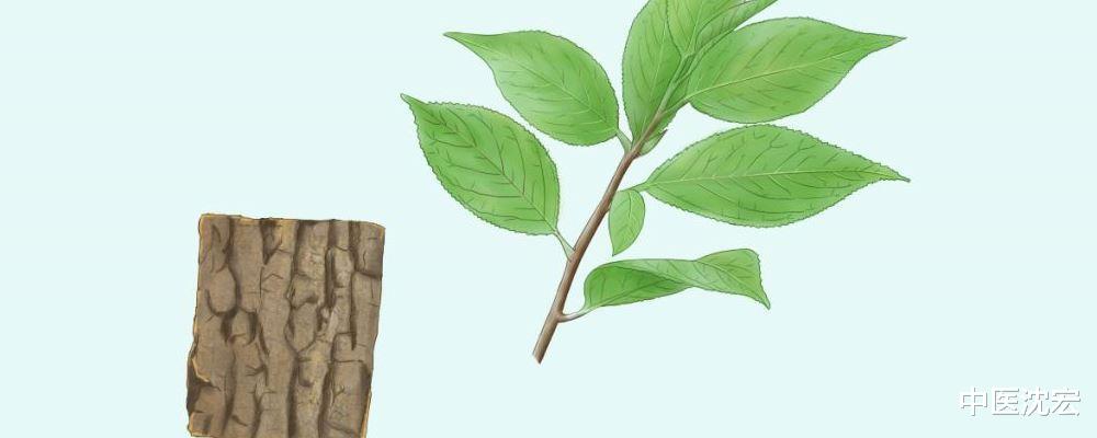 中成药|一个中成药，降压，降脂，定眩，改善头晕头疼，耳鸣目眩