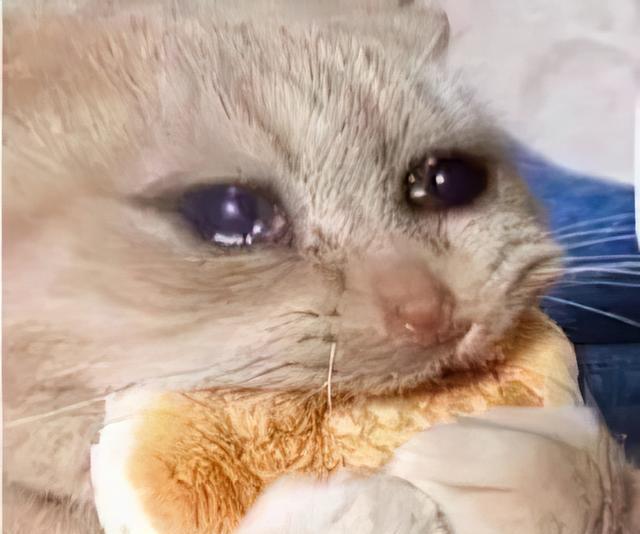 |领导在下班前开会，员工：“你开车轻松！我们追末班车脚底冒烟”