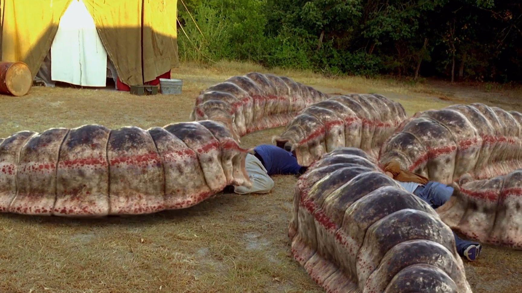 “蒙古死亡之虫”到底是传说，还是真实存在？