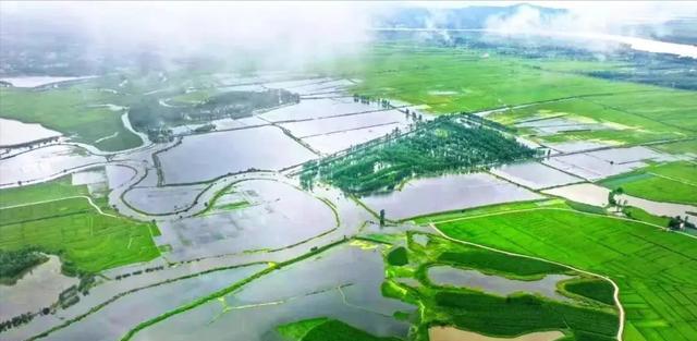 大爷|湖北俩老人因钓鱼火爆网络，身上各绑一根红绳子，网友：月老牵线