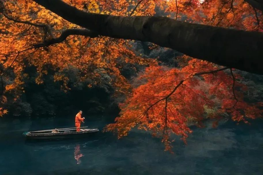 腾冲|再不“枫”狂就下架了！你和这个秋天还差一片红色的距离