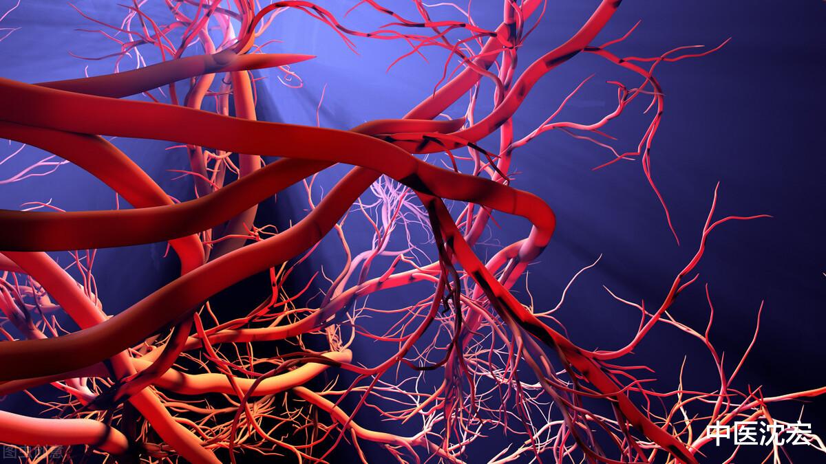 蛋白质|血不通，因为有痰，张仲景名方，祛痰通血管，养好心脏，人不老