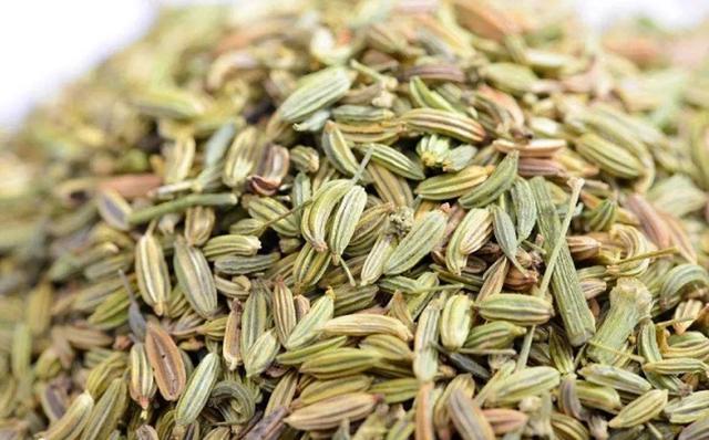 小茴香|小茴香，大功效！碰上2种疾病，小茴香或许都能派上用场