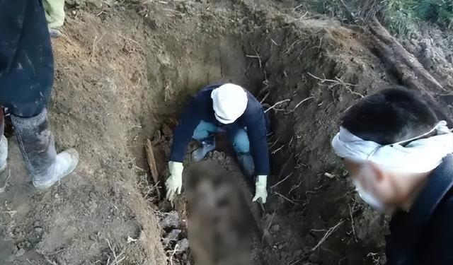 2003年内蒙男子为父迁坟，在墓中发现无名尸骨，牵出桩生父杀子案