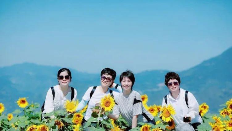 成都|徒步兑垟岭，赏秋向日葵，错过待来年！