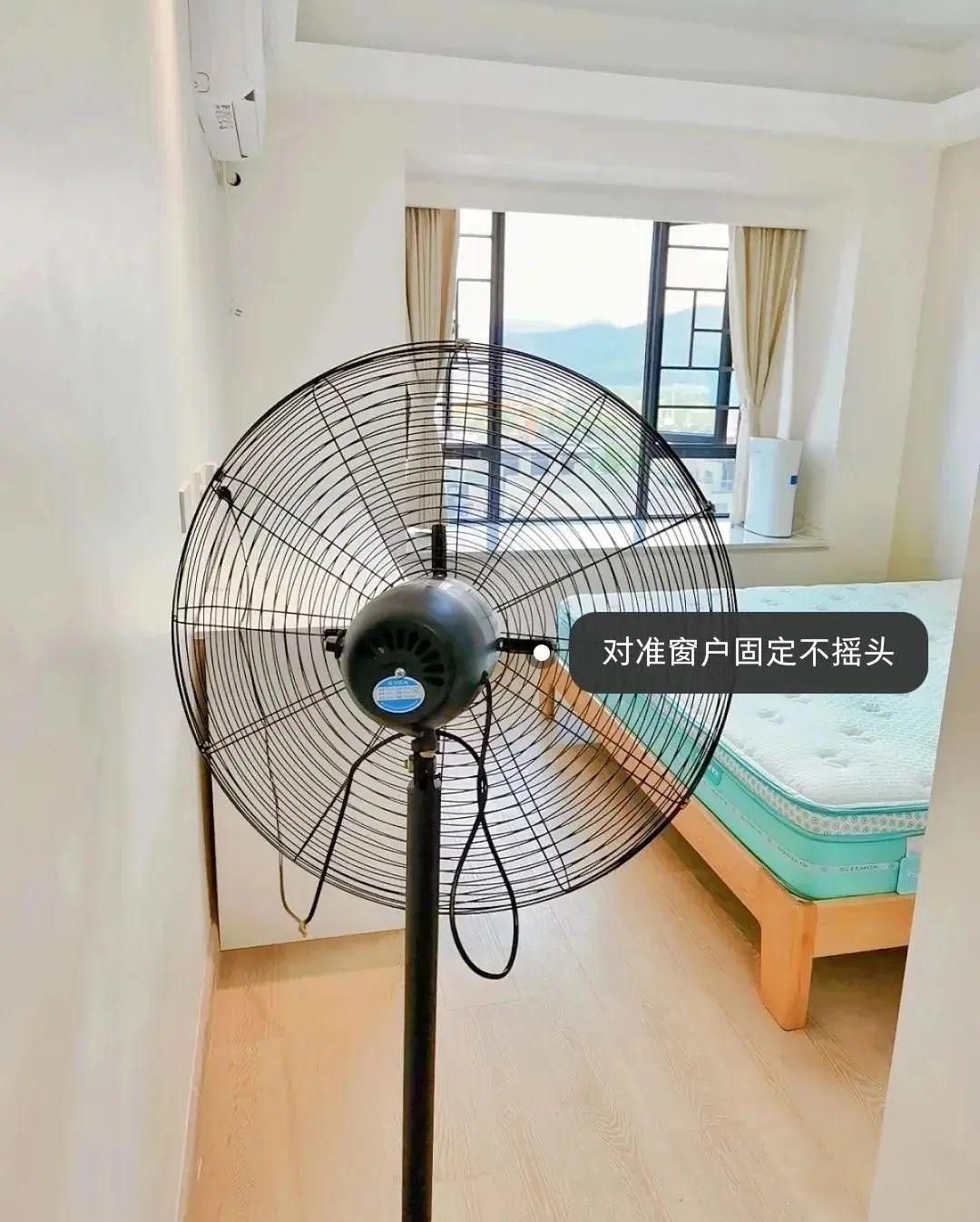 除甲醛困难多?牢记这些小妙招,自己动手没问题,省钱安全不耽误