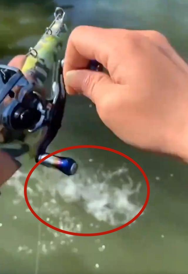 饵料|男子把路亚玩出新花样，直接将水滴轮绑手上，网友：真担心中大鱼