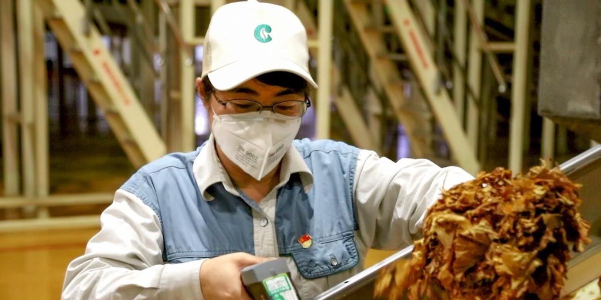 求职|名校毕业研究生纷纷应聘卷烟厂,流水线上的工人竟然都是高学历