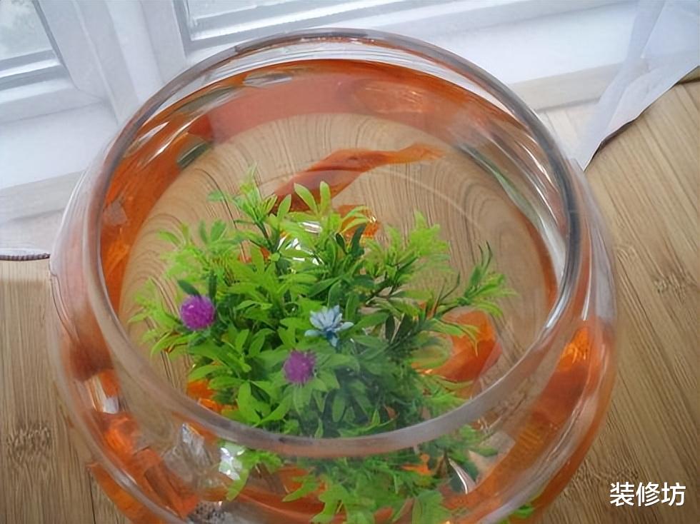 涨知识了!空调里流出来的水,太“值钱”了,好多人不知道有啥用