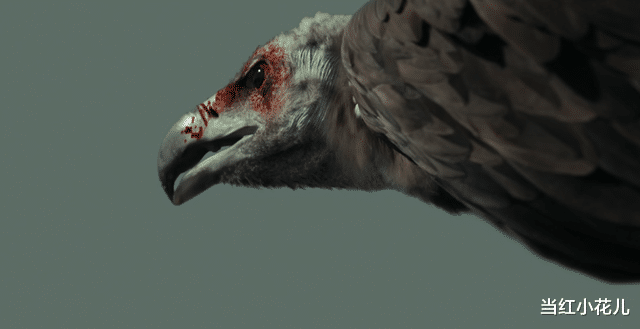 惊悚片|好莱坞最新惊悚片《坠落》,吓破你胆