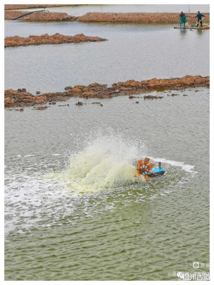 成都|乐清湾一颗靓丽的明珠——唯一一个未通车的海岛村，你知道吗