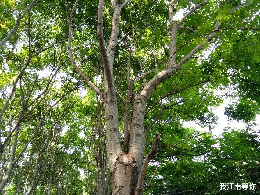 |离婚女老板要包养我，说每个月给我10万元