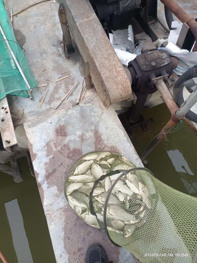 饵料|连杆停不下来,嘴都给乐歪了