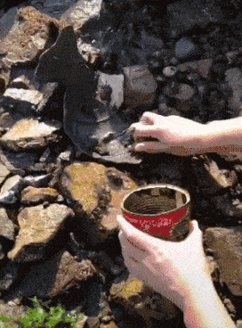 打麻将|陈若仪和LISA：嫁给美男子的两种结局