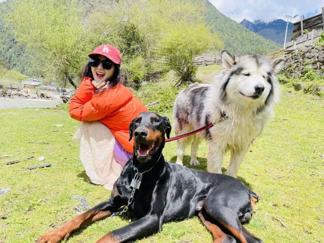 花果山|疫情下的解药，除了王心凌，还有2019的世界旅行
