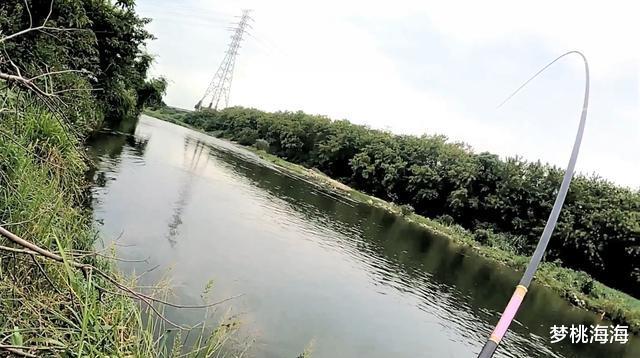 冀州|夏天钓大鱼遵守这些规则，改掉这些坏毛病，竿竿都是大弯弓