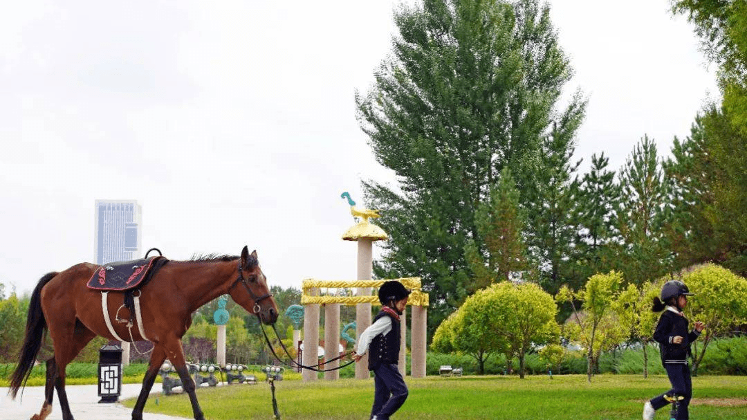 草原|中国最美草原城市，空气好节奏慢，全年宜居，现是网红城市