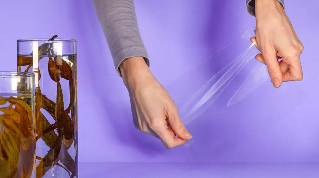 环保袋vs塑料袋,你怎么选