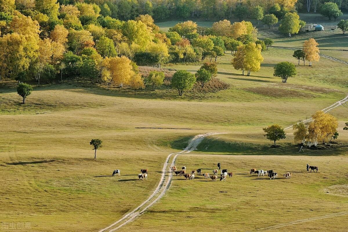 |郭进拴|绝美的坝上