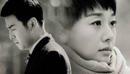 罗子君|《我的前半生》是一部以罗子君为题材的电视连续剧